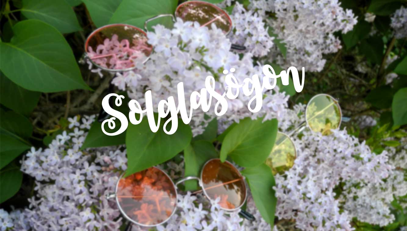 Solglasögon Banner