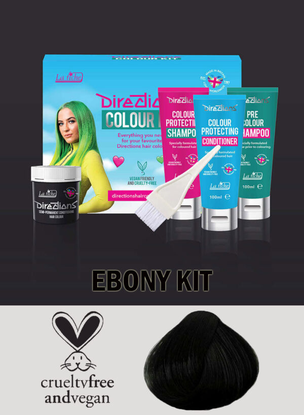 Directions Hair Colour  Ebony kit