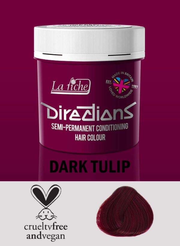 Directions Hair Colour Dark Tulip