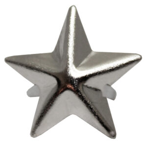 Silver Star Studs