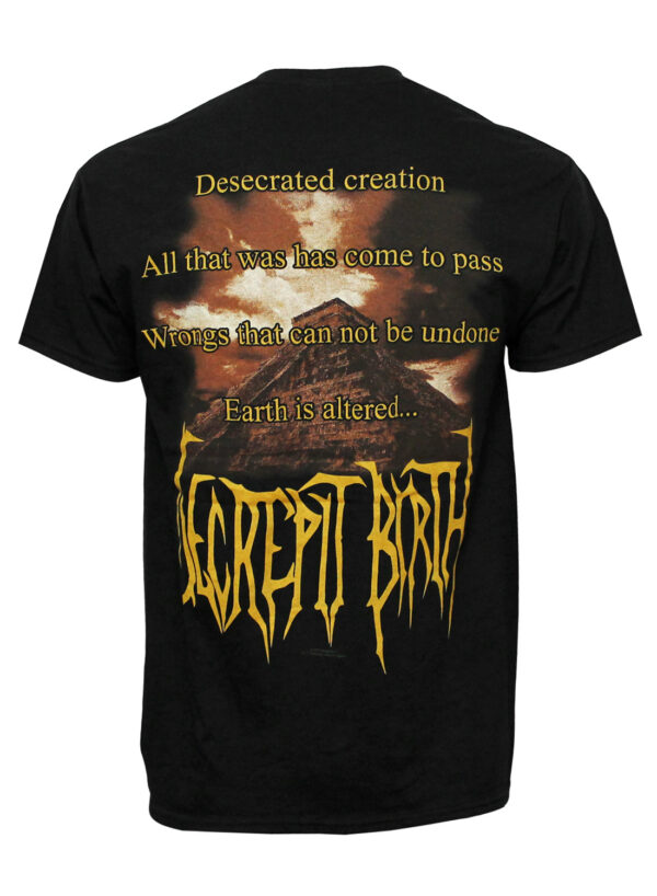 Decrepit birth shrourd of impurity T-shirt