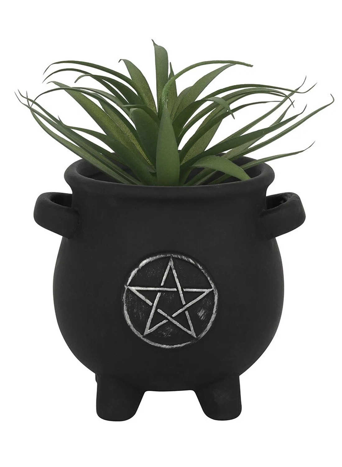 Penta Cauldron Planter Pot – svart gotisk blomkruka formad som en häxkittel med silverfärgat pentagram, gröna växter och små sidohandtag.
